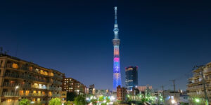 東京の夜景